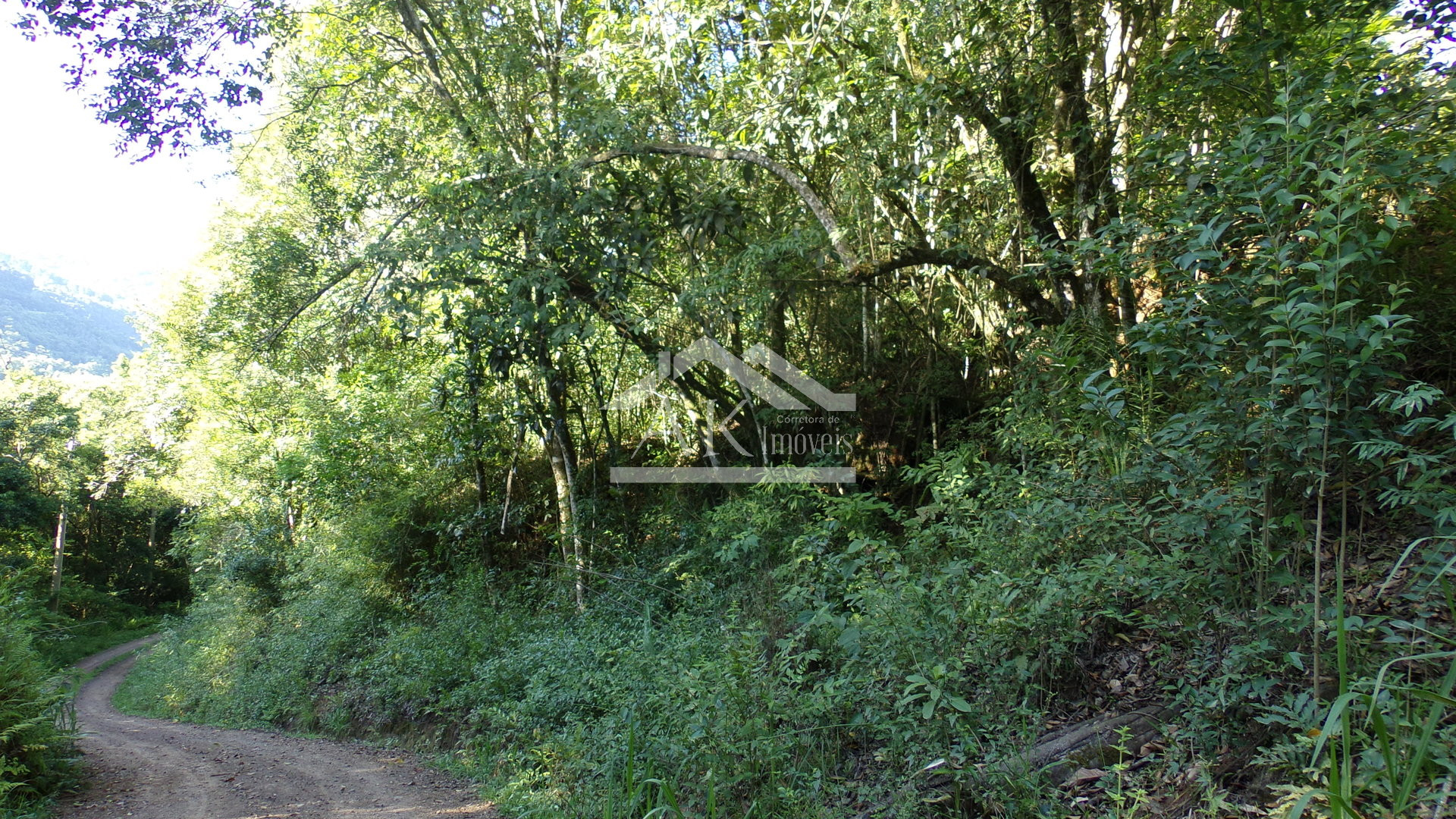 Área de terras à venda próxima ao centro de Picada café na serra gaúcha