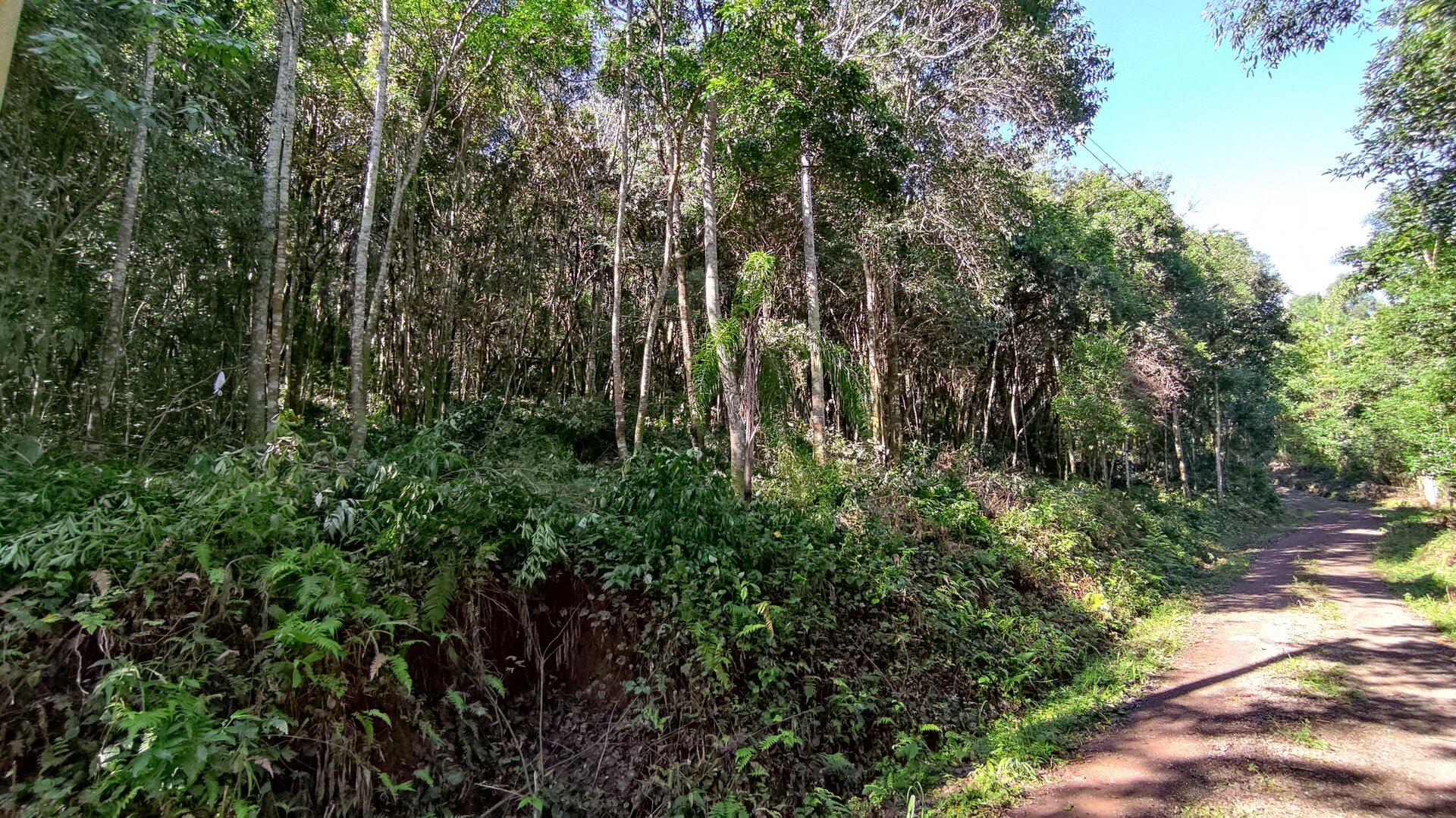 Área de terras à venda próxima ao centro de Picada café na serra gaúcha