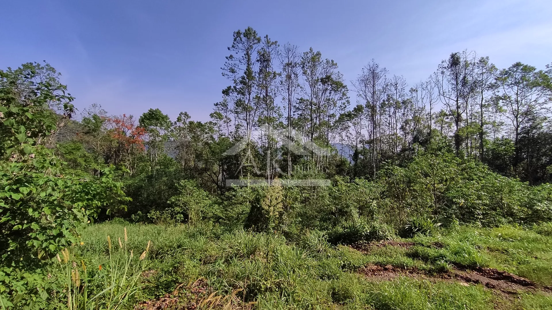Área de terra com vista à venda em Nova Petrópolis na Serra Gaúcha