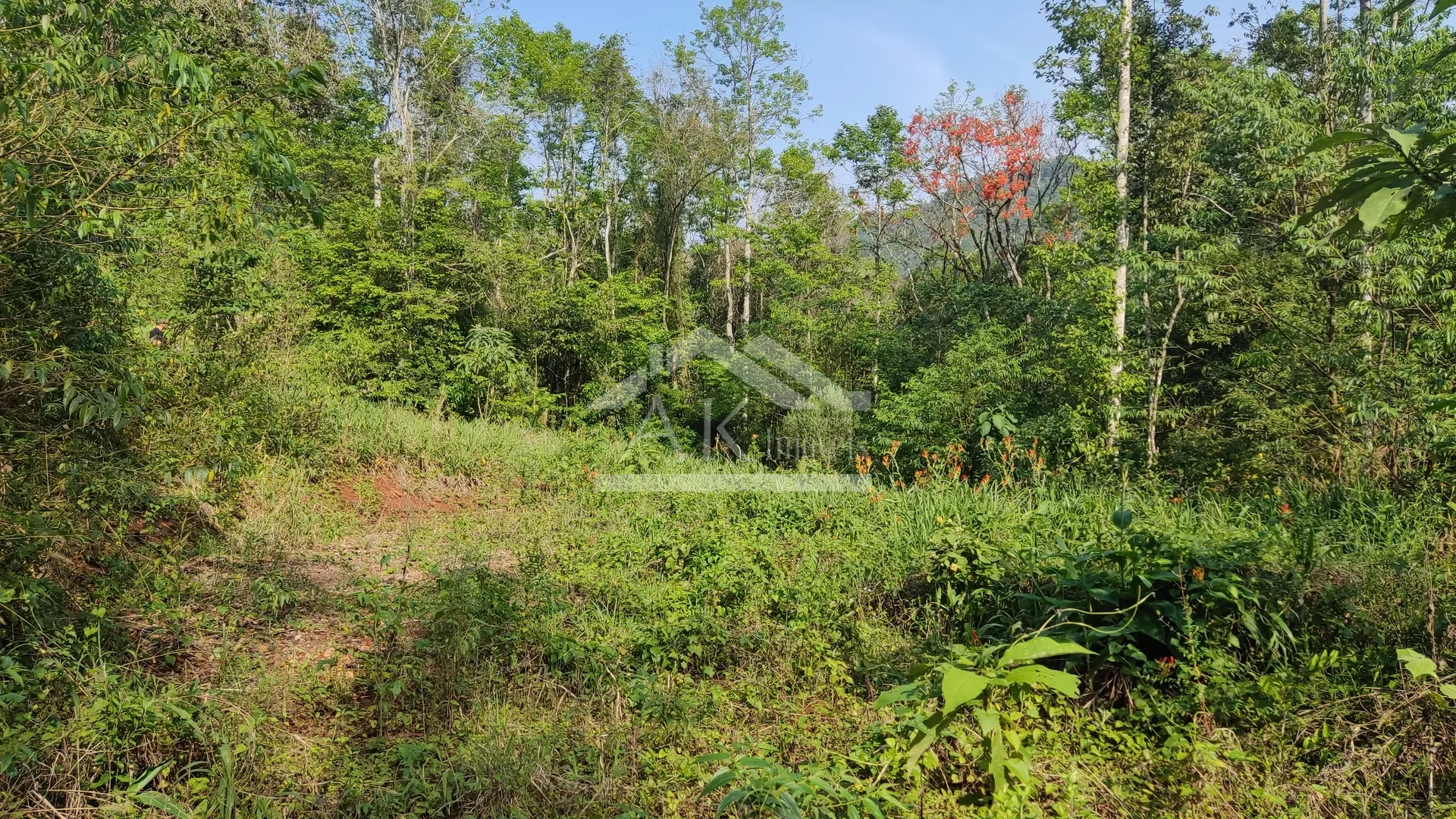Área de terra com vista à venda em Nova Petrópolis na Serra Gaúcha