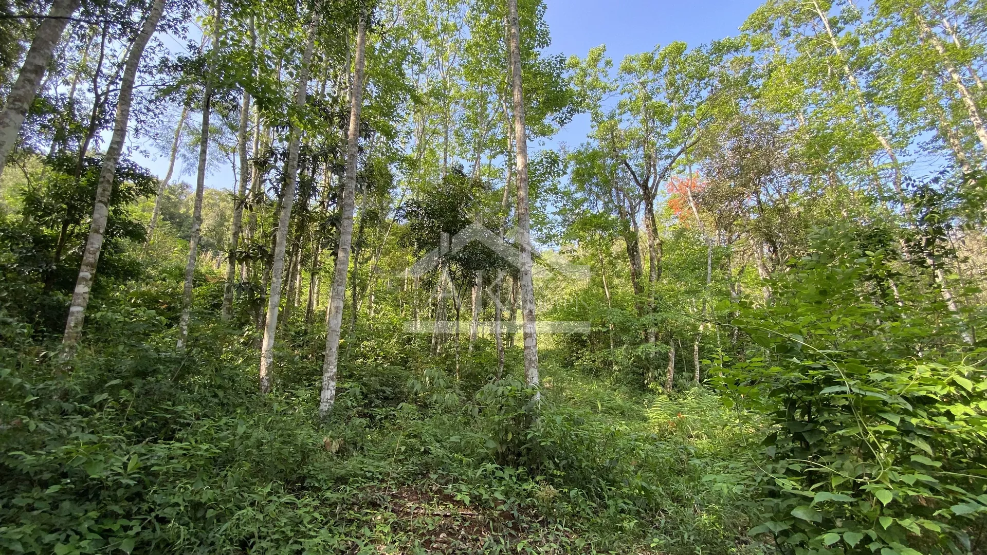Área de terra com vista à venda em Nova Petrópolis na Serra Gaúcha