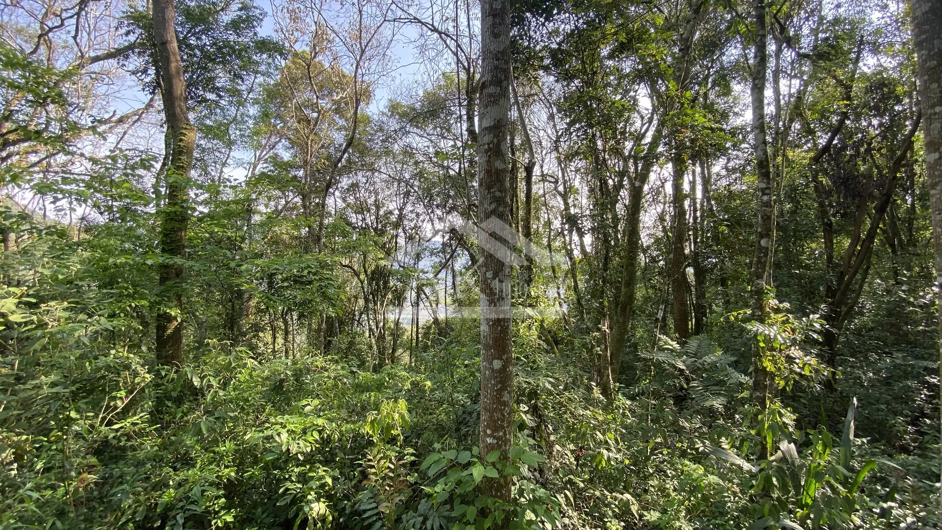 Área de terra com vista à venda em Nova Petrópolis na Serra Gaúcha