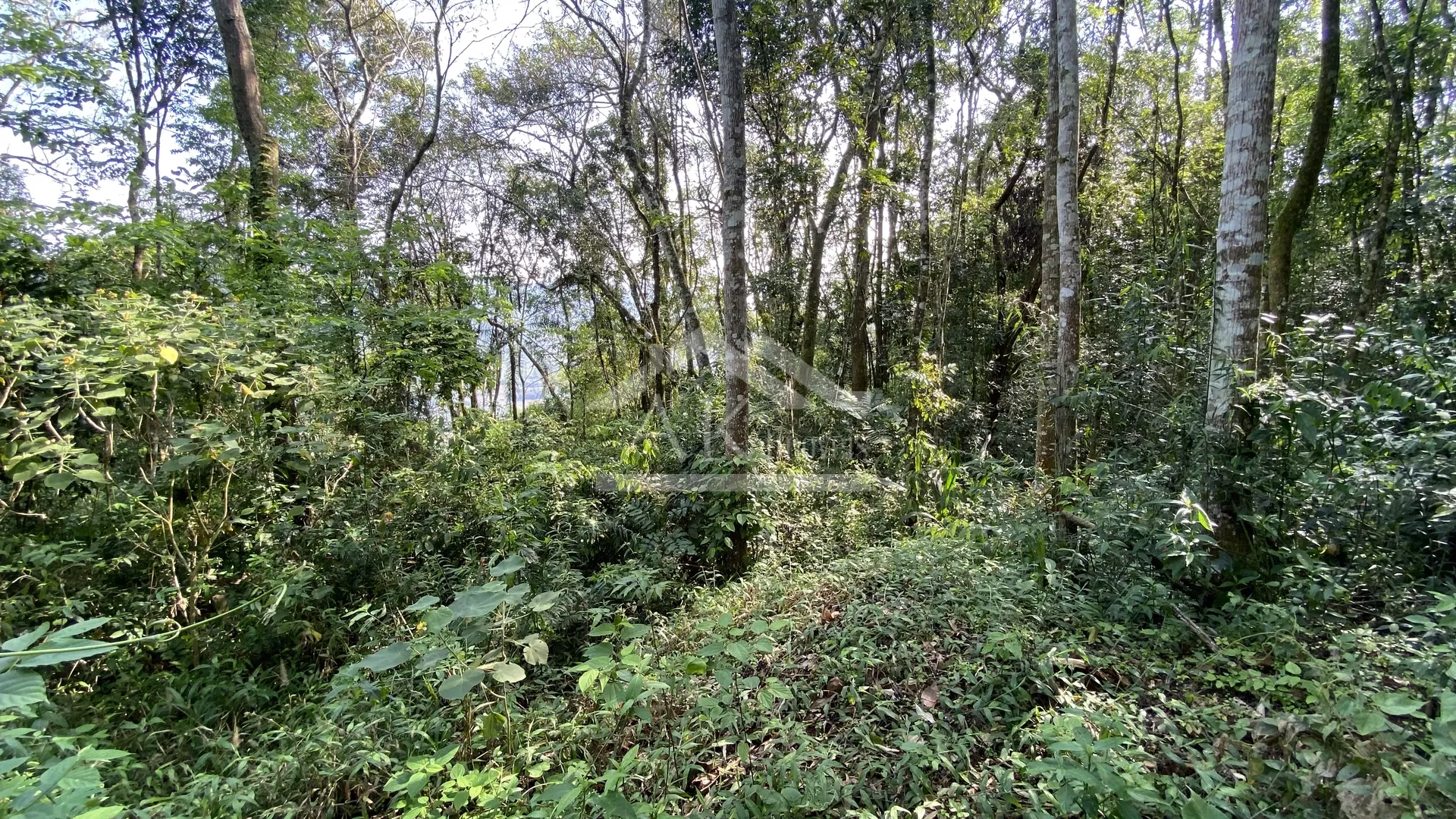 Área de terra com vista à venda em Nova Petrópolis na Serra Gaúcha