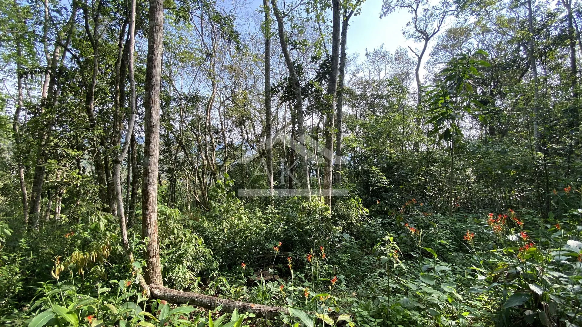 Área de terra com vista à venda em Nova Petrópolis na Serra Gaúcha