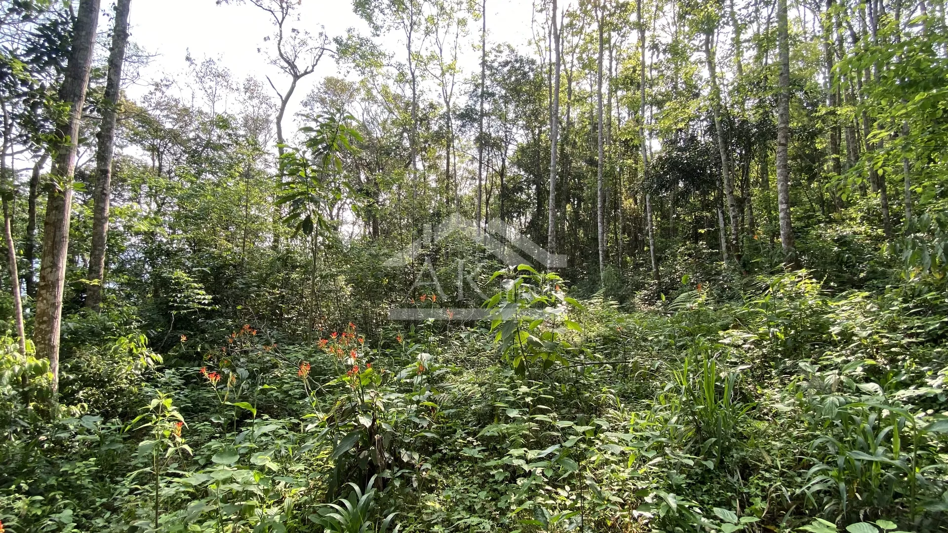 Área de terra com vista à venda em Nova Petrópolis na Serra Gaúcha