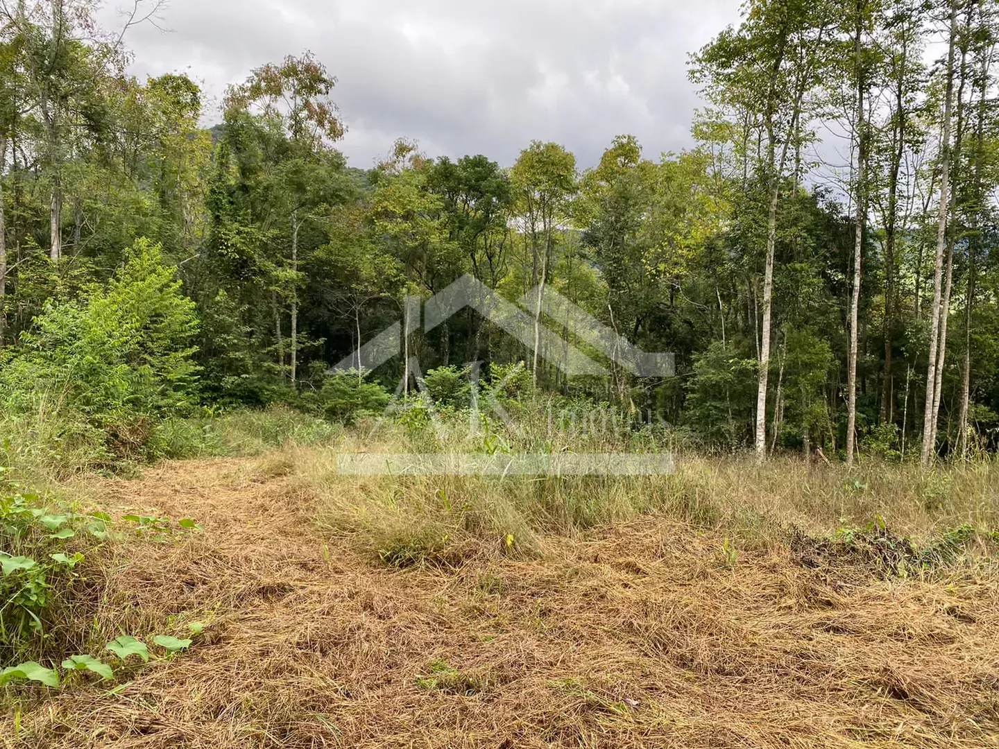Área de terra com vista à venda em Nova Petrópolis na Serra Gaúcha