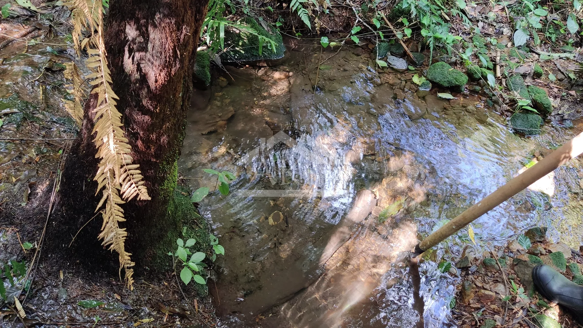 Área de terra com potencial turístico à venda em Morro Reuter na Serra Gaúcha