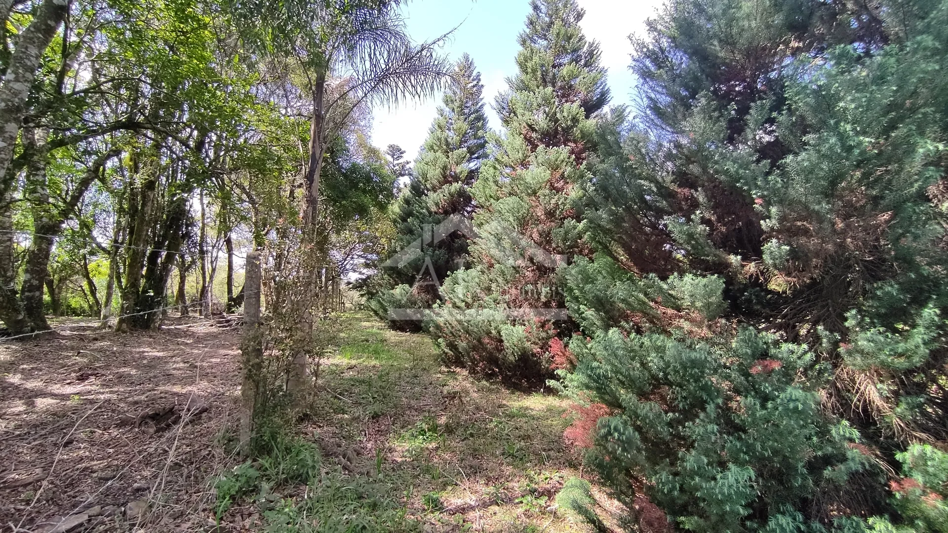 Área de terra com potencial turístico à venda em Morro Reuter na Serra Gaúcha