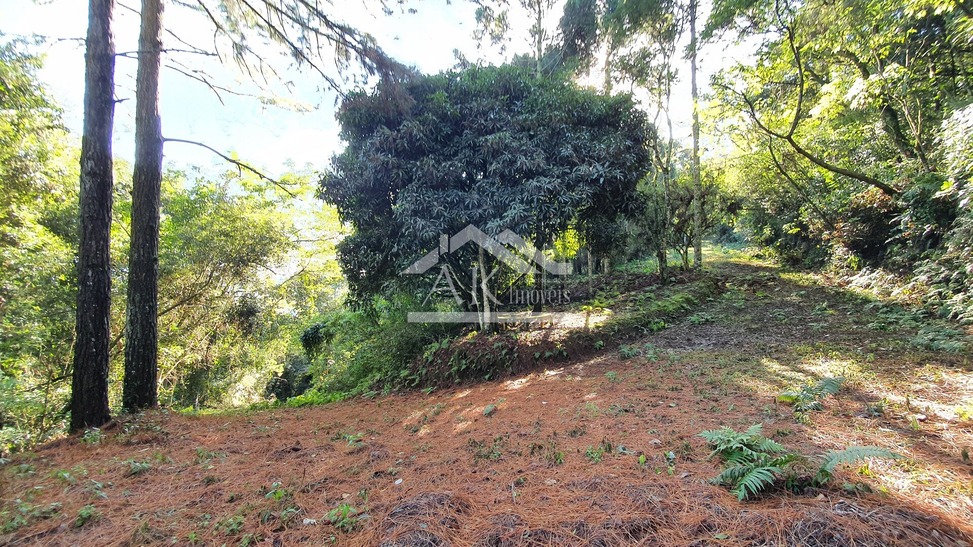 Sítio de cinema a venda em Picada Café na Serra Gaúcha