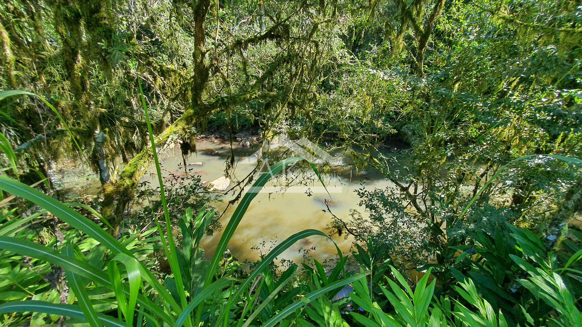 Sítio com casa Enxaimel, açude e riacho às venda em Picada Café na Serra Gaúcha