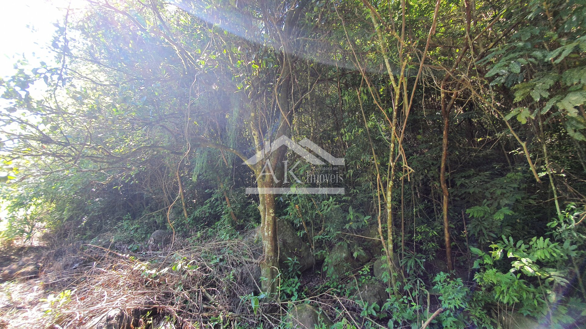 Sítio com casa Enxaimel, açude e riacho às venda em Picada Café na Serra Gaúcha
