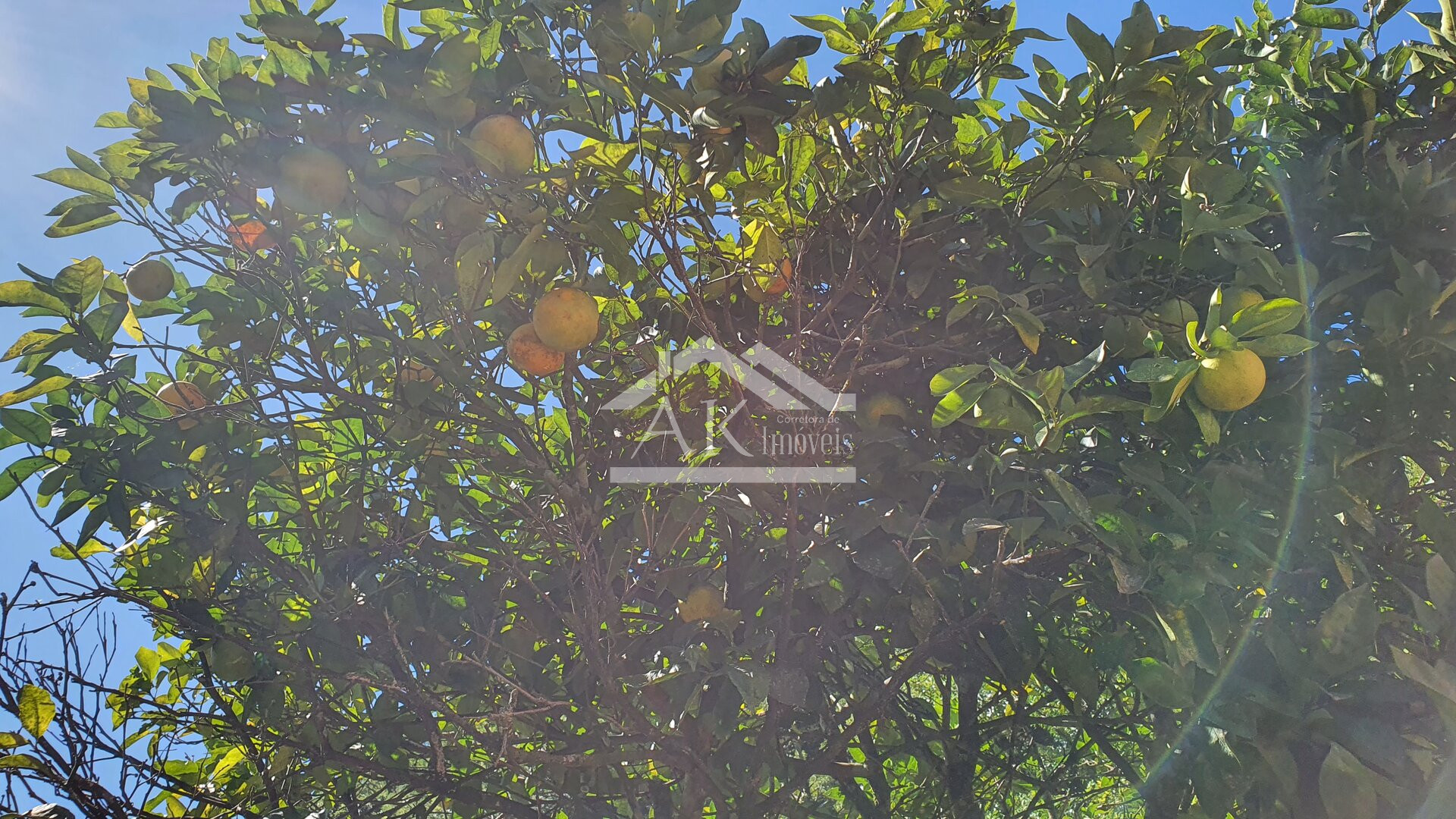 Sítio com casa Enxaimel, açude e riacho às venda em Picada Café na Serra Gaúcha