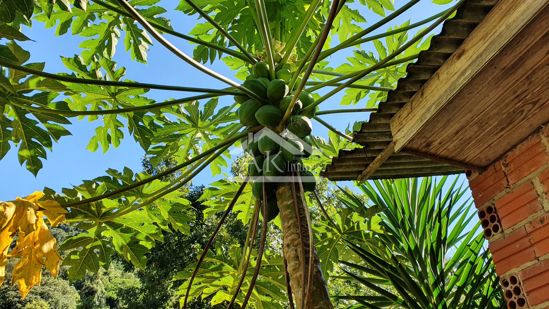 Sítio com casa Enxaimel, açude e riacho às venda em Picada Café na Serra Gaúcha