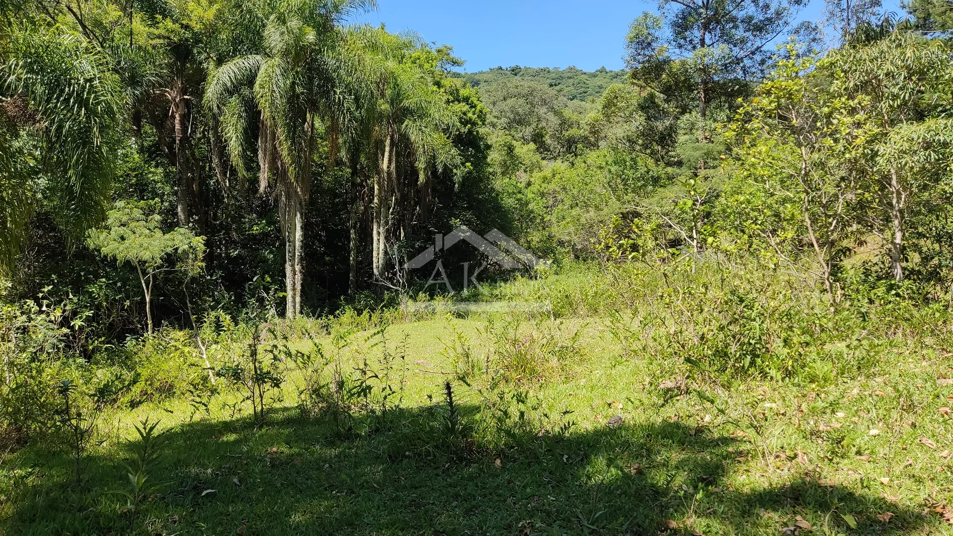 Sítio com açude e riacho à venda em Presidente Lucena RS