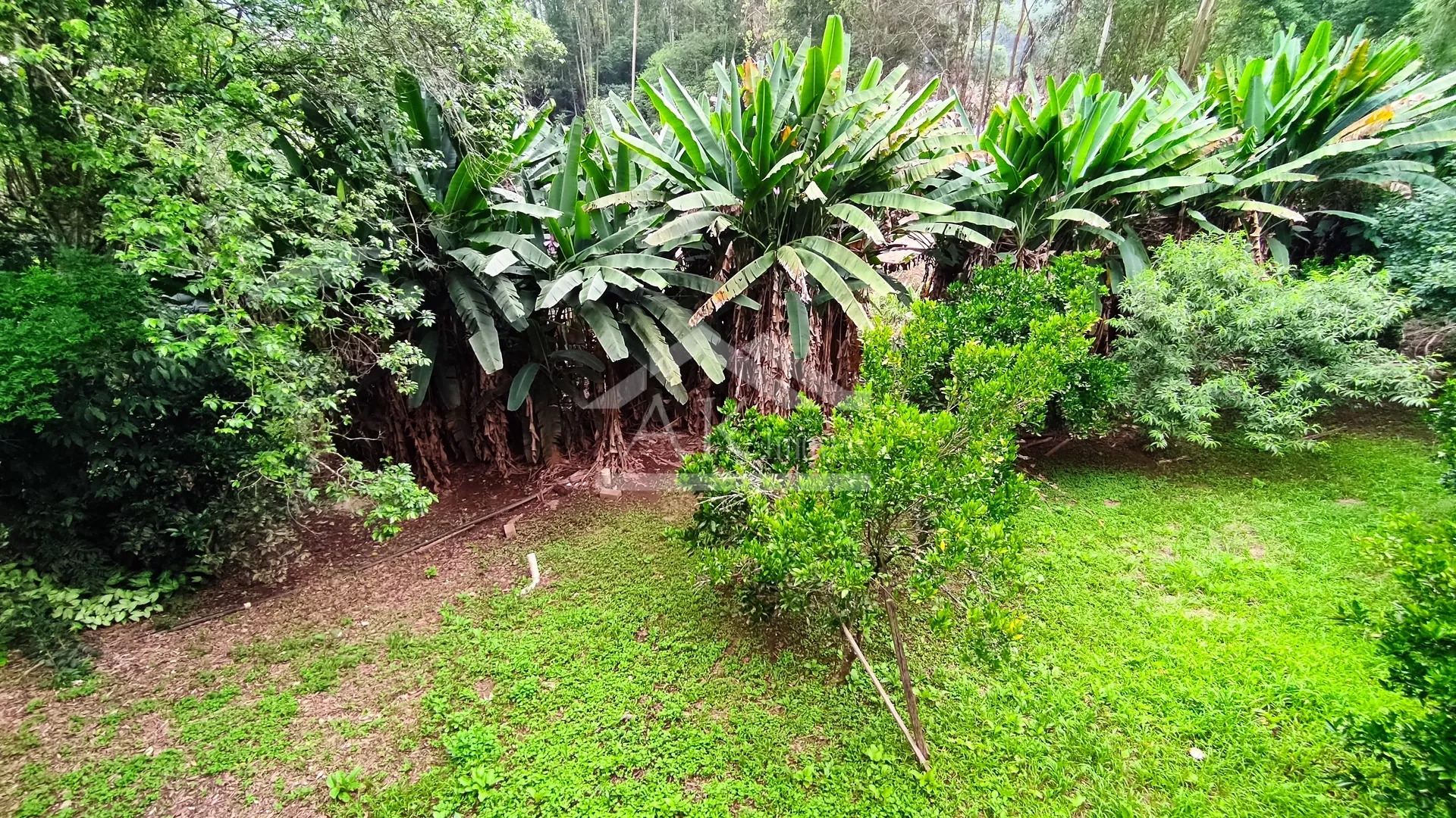 Casa com 3 quartos à venda em Picada Café na Serra Gaúcha