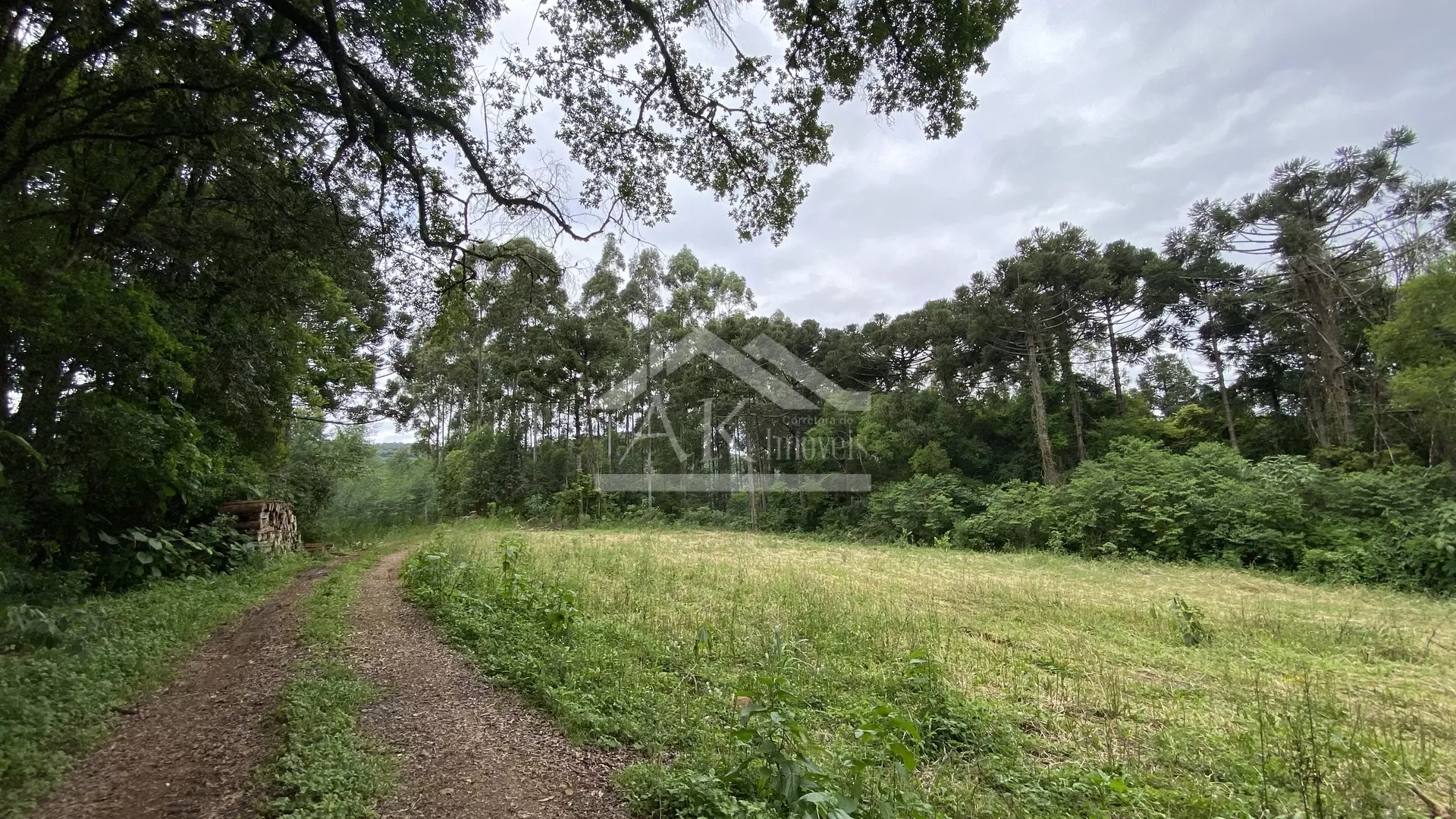 Área de terra com vista à venda em Nova Petrópolis na Serra Gaúcha