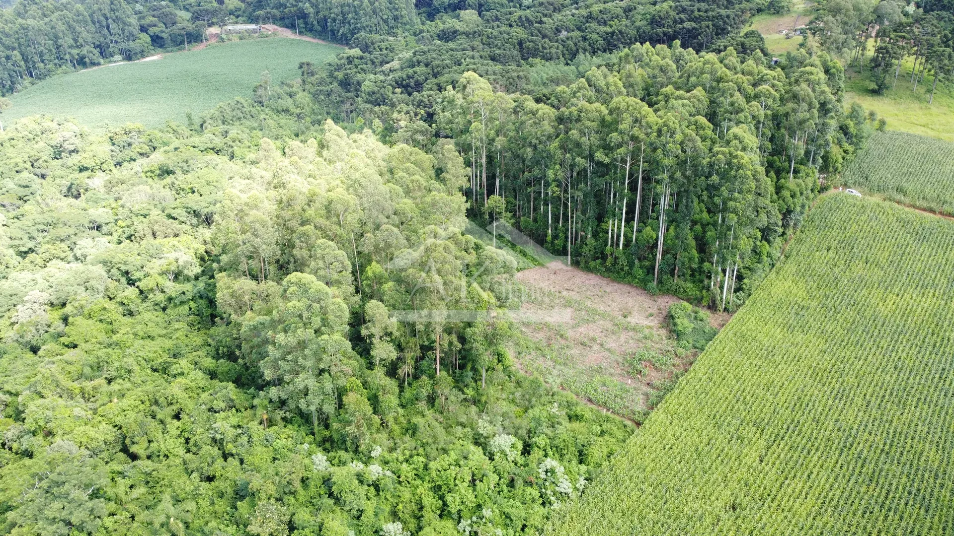 Área de terra com vista à venda em Nova Petrópolis na Serra Gaúcha