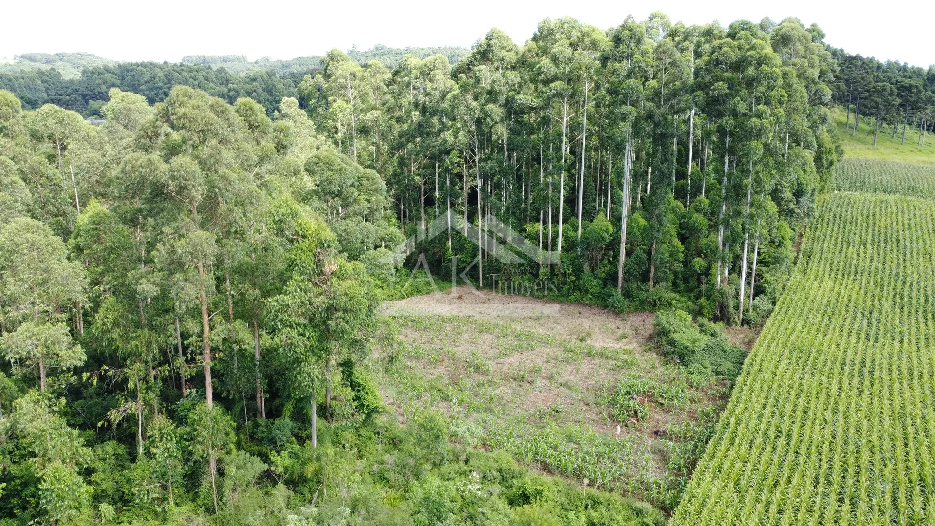 Área de terra com vista à venda em Nova Petrópolis na Serra Gaúcha
