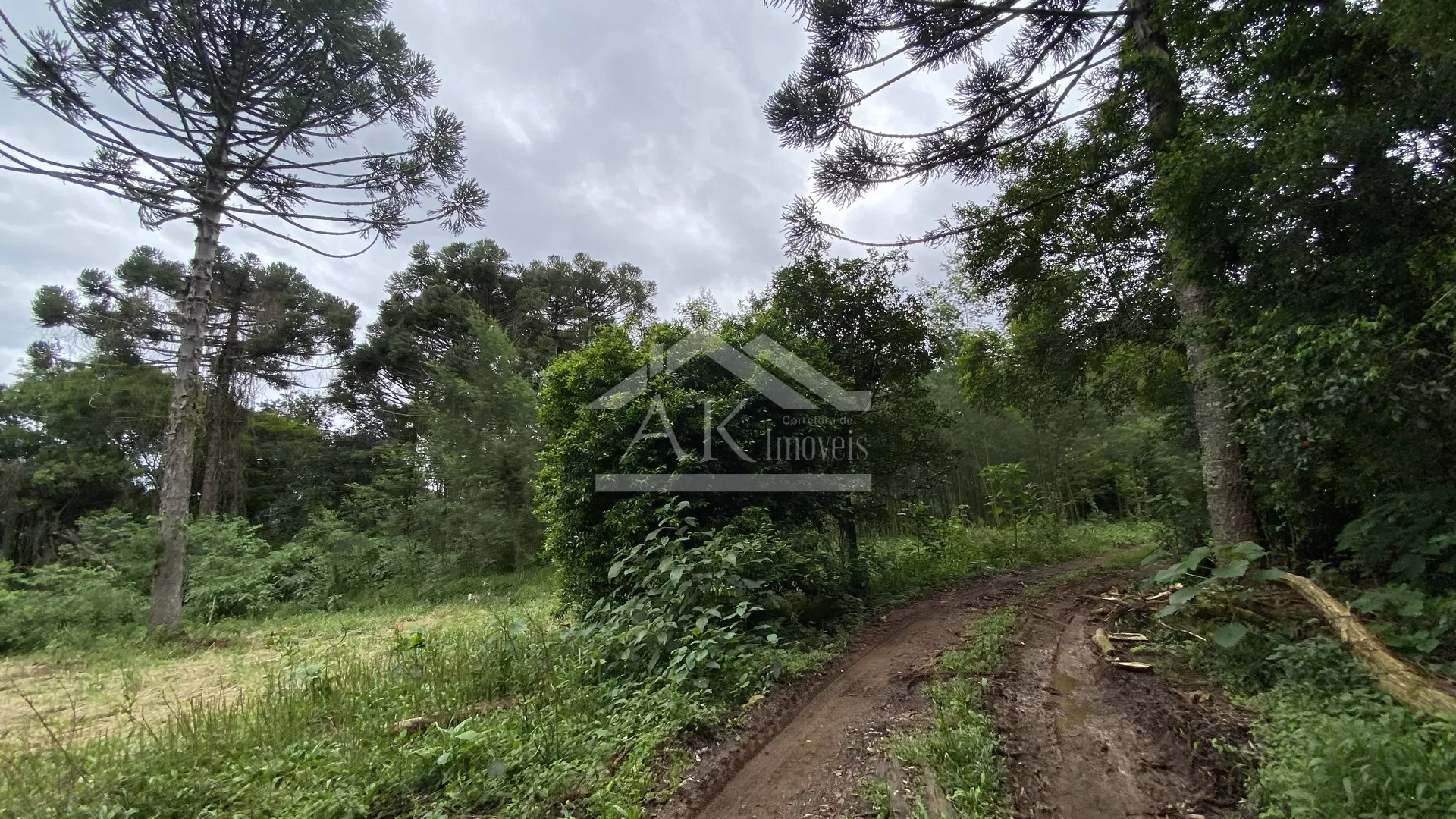 Área de terra com vista à venda em Nova Petrópolis na Serra Gaúcha