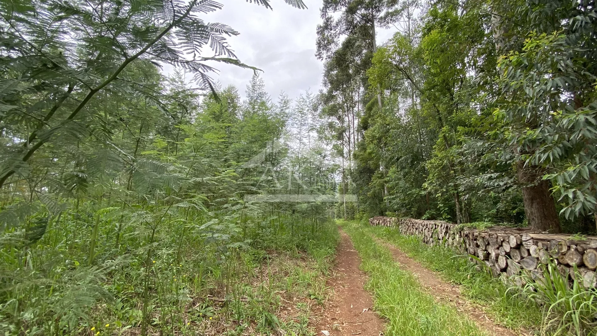 Área de terra com vista à venda em Nova Petrópolis na Serra Gaúcha