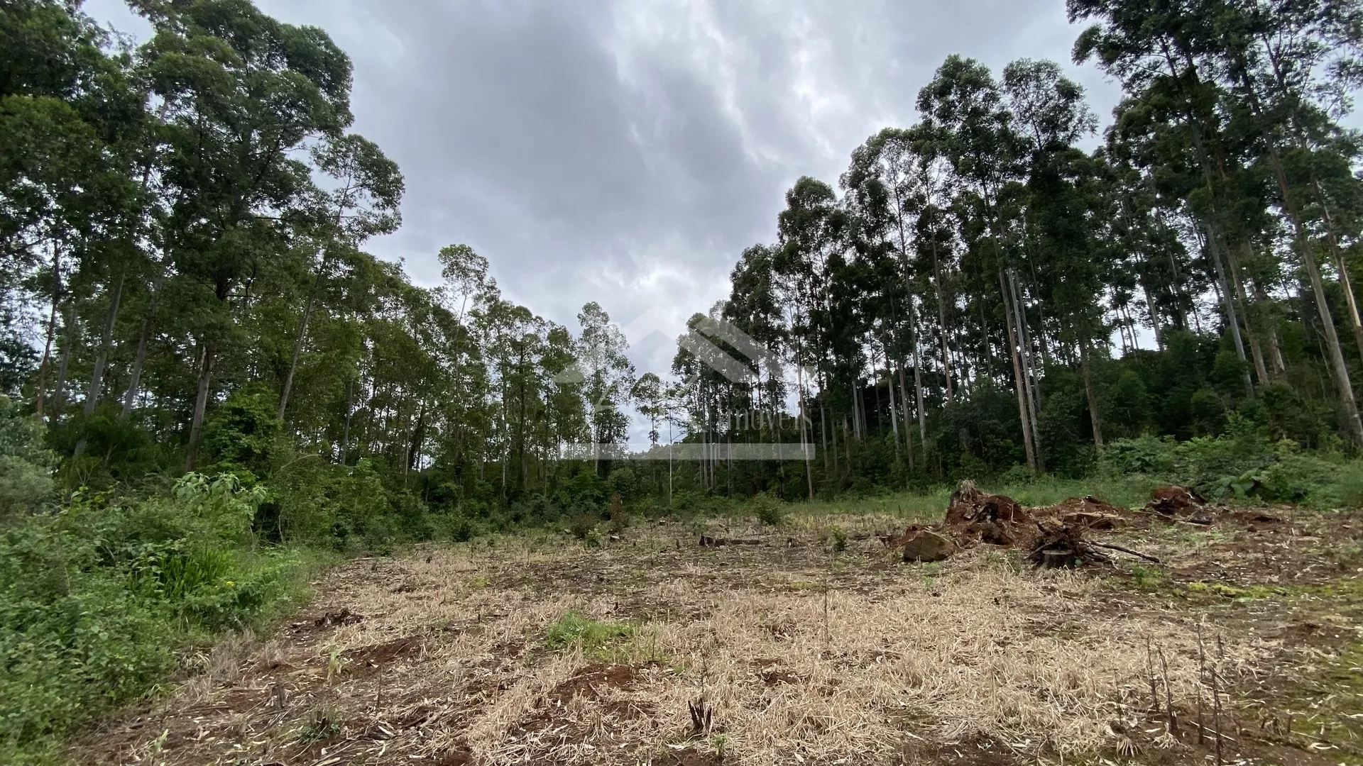 Área de terra com vista à venda em Nova Petrópolis na Serra Gaúcha