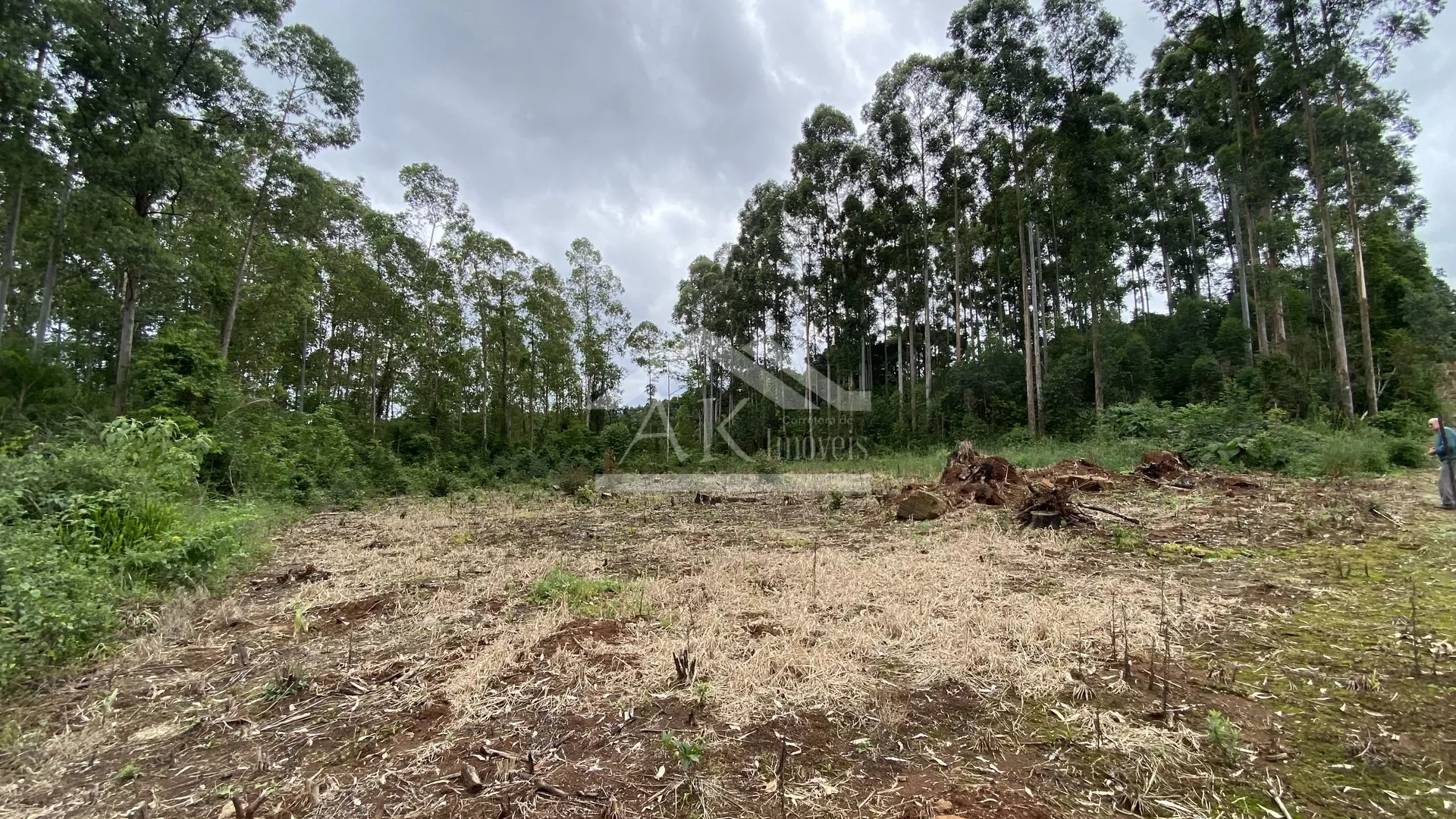 Área de terra com vista à venda em Nova Petrópolis na Serra Gaúcha
