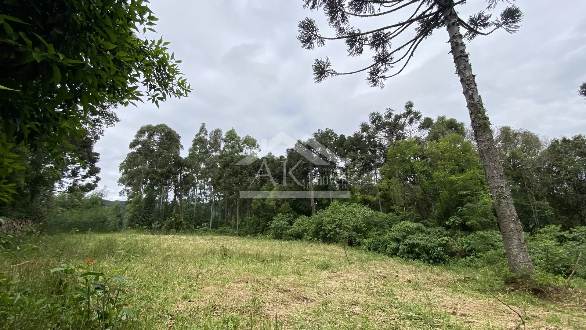 Área de terra com vista à venda em Nova Petrópolis na Serra Gaúcha