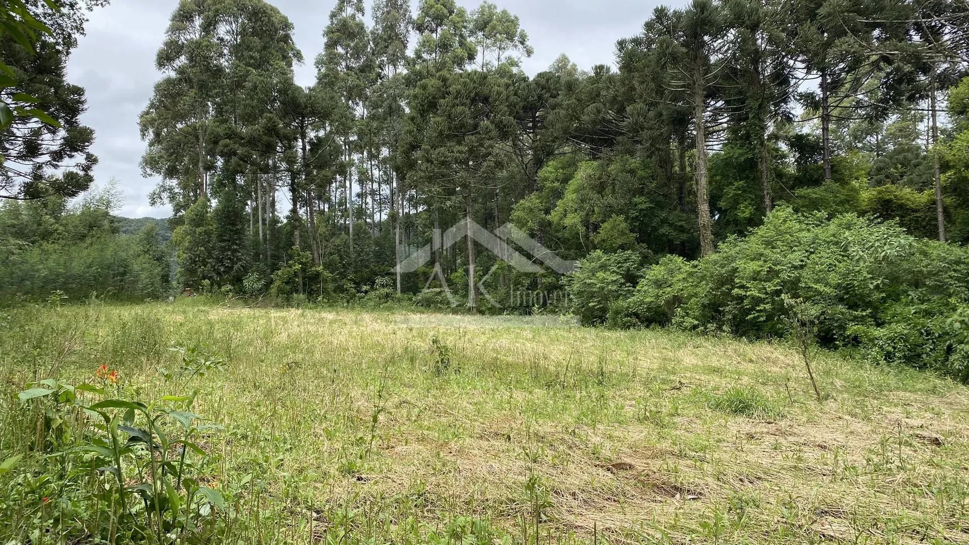 Área de terra com vista à venda em Nova Petrópolis na Serra Gaúcha