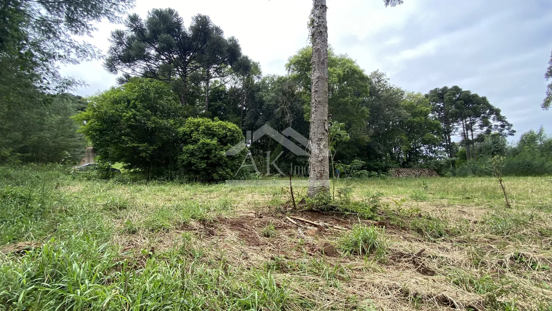 Área de terra com vista à venda em Nova Petrópolis na Serra Gaúcha