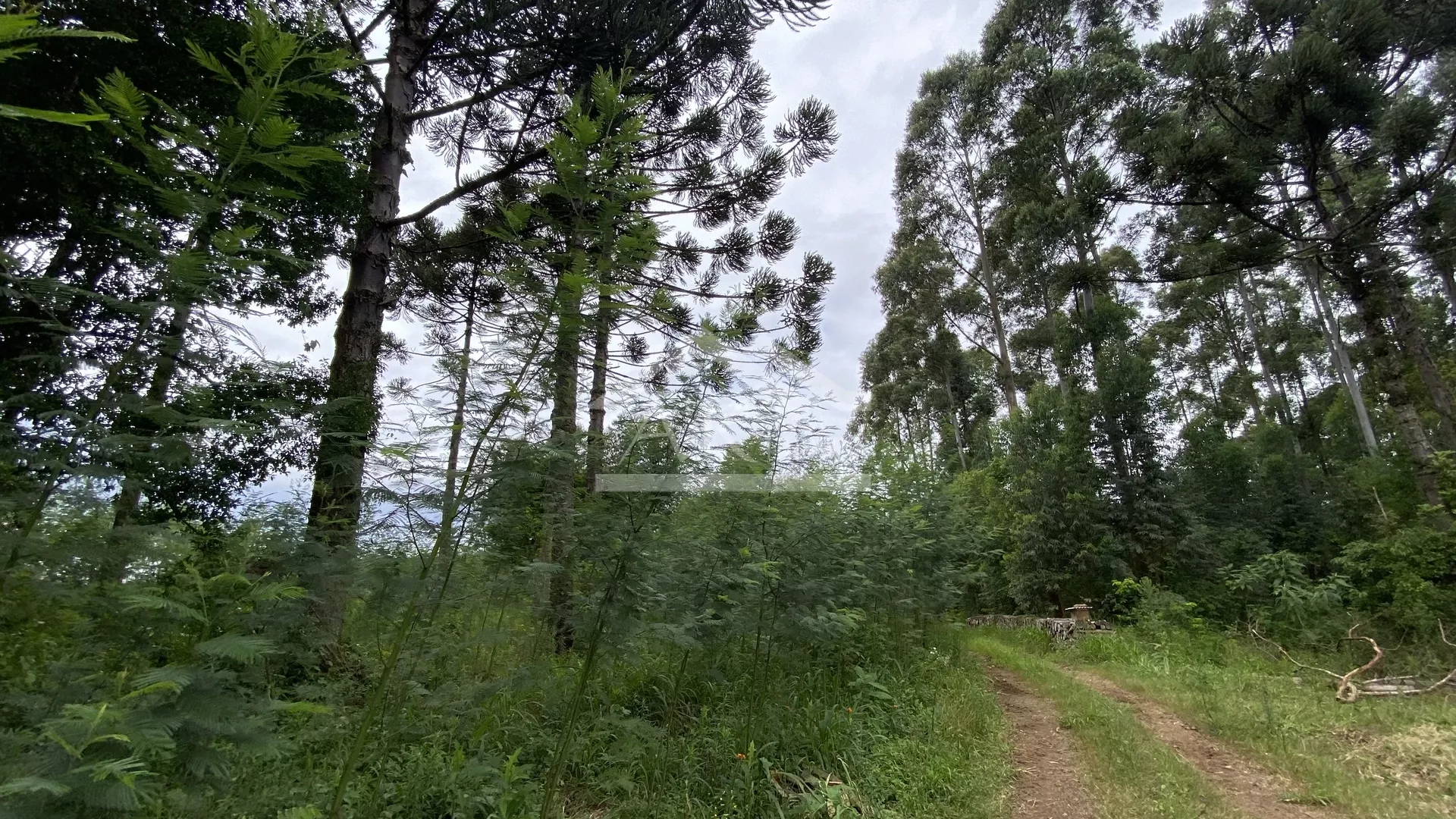 Área de terra com vista à venda em Nova Petrópolis na Serra Gaúcha