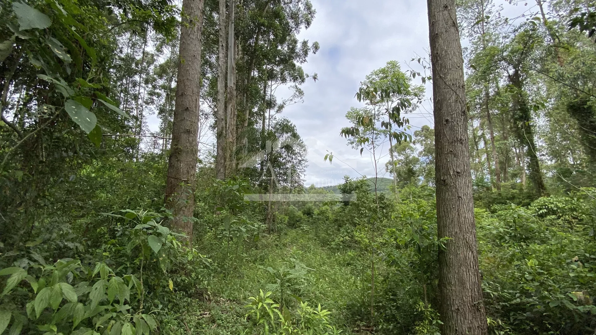 Área de terra com vista à venda em Nova Petrópolis na Serra Gaúcha