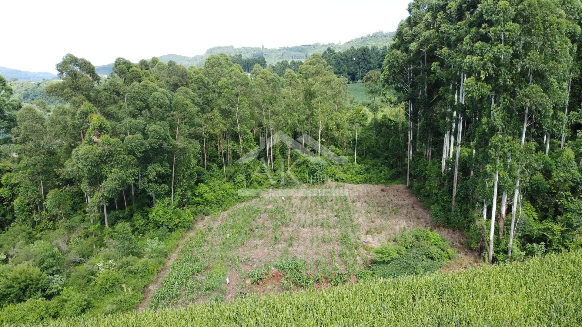 Área de terra com vista à venda em Nova Petrópolis na Serra Gaúcha