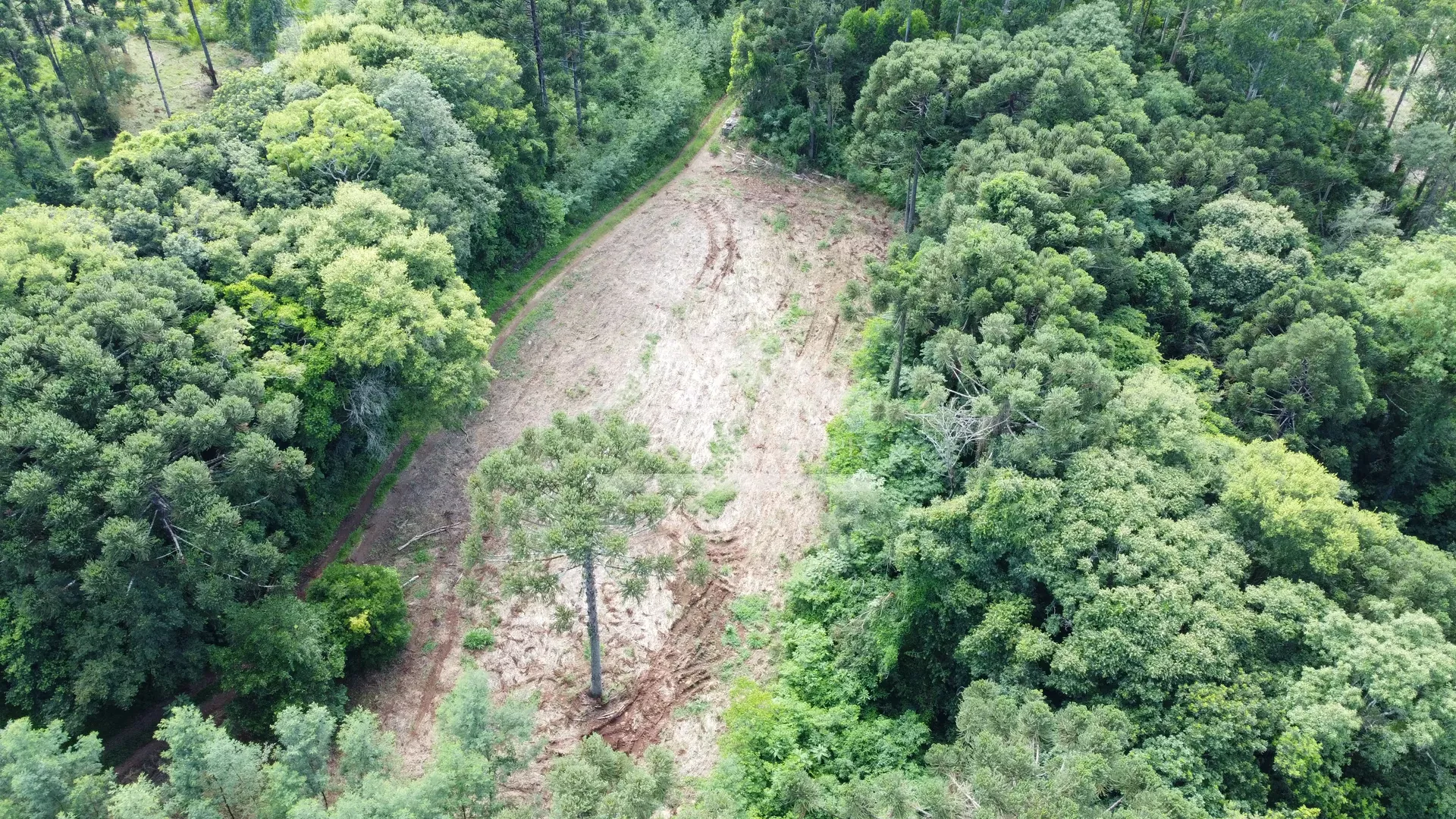 Área de terra com vista à venda em Nova Petrópolis na Serra Gaúcha