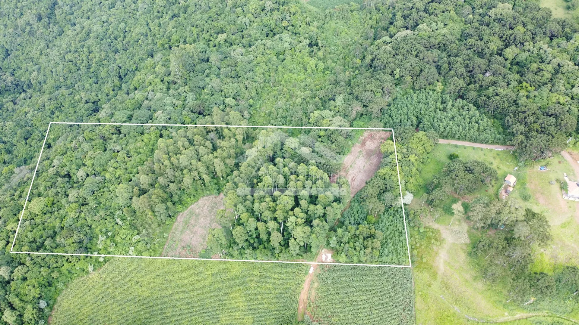 Área de terra com vista à venda em Nova Petrópolis na Serra Gaúcha