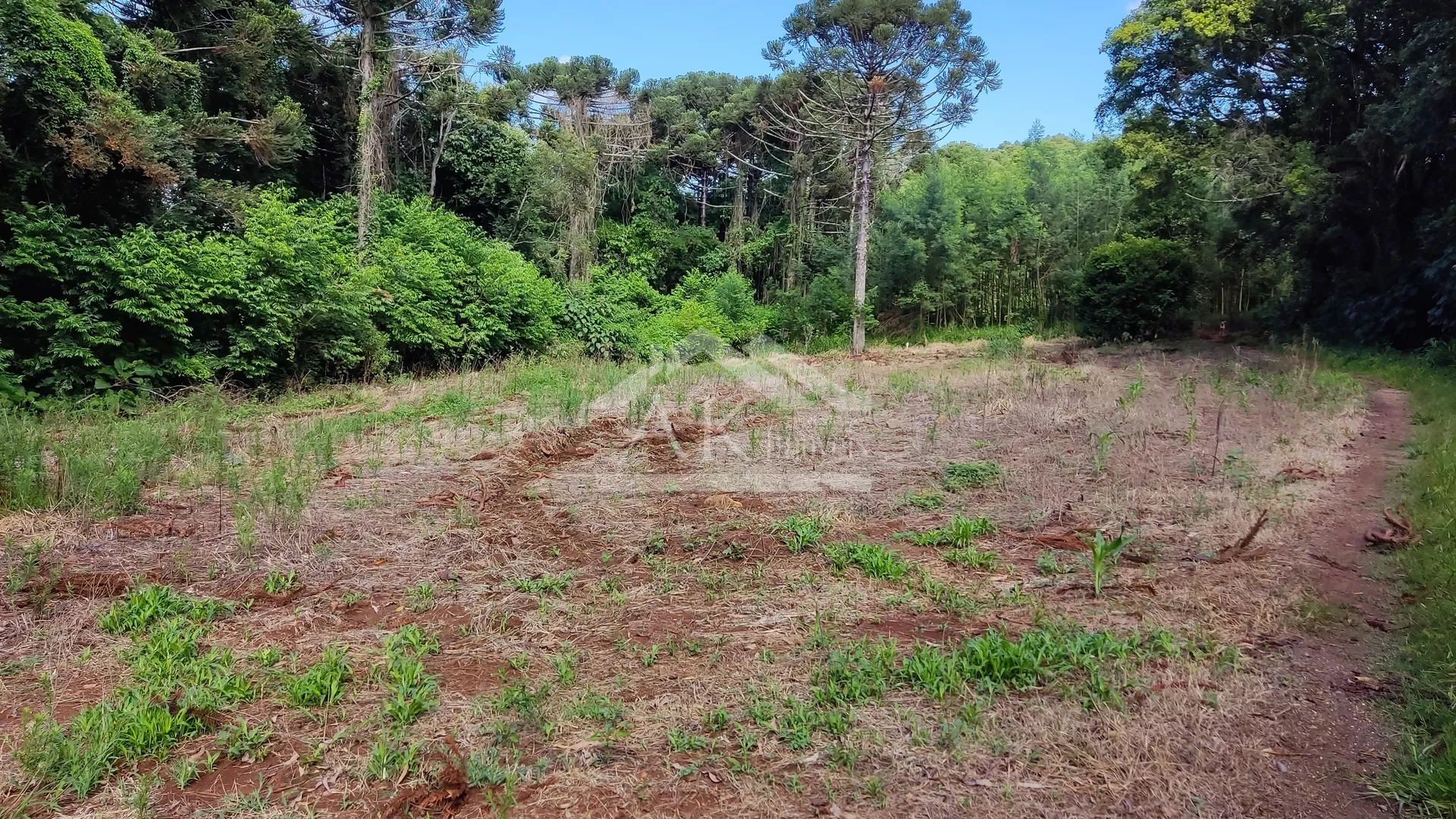 Área de terra com vista à venda em Nova Petrópolis na Serra Gaúcha