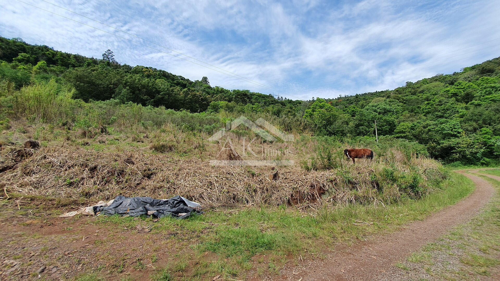 Área de terras com vertente e córrego à venda em Linha Nova na Serra Gaúcha