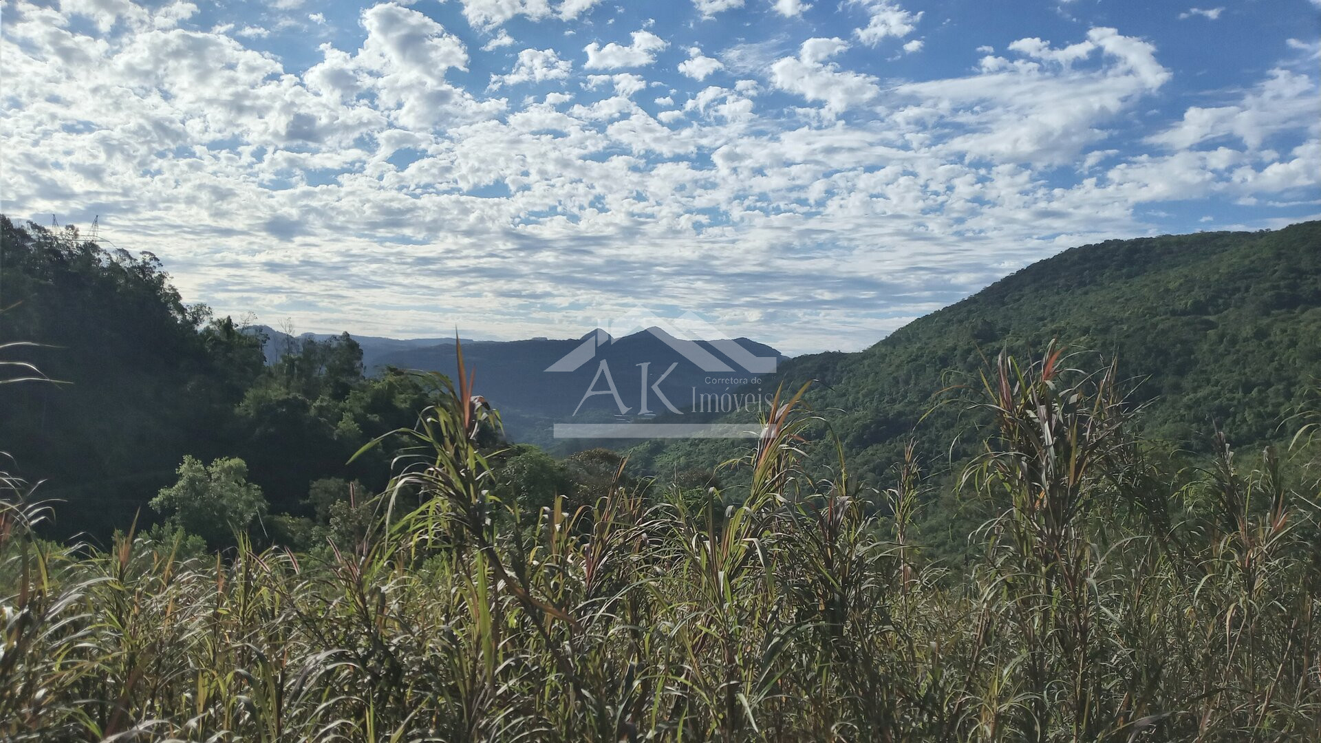 Área de terras com vertente e córrego à venda em Linha Nova na Serra Gaúcha
