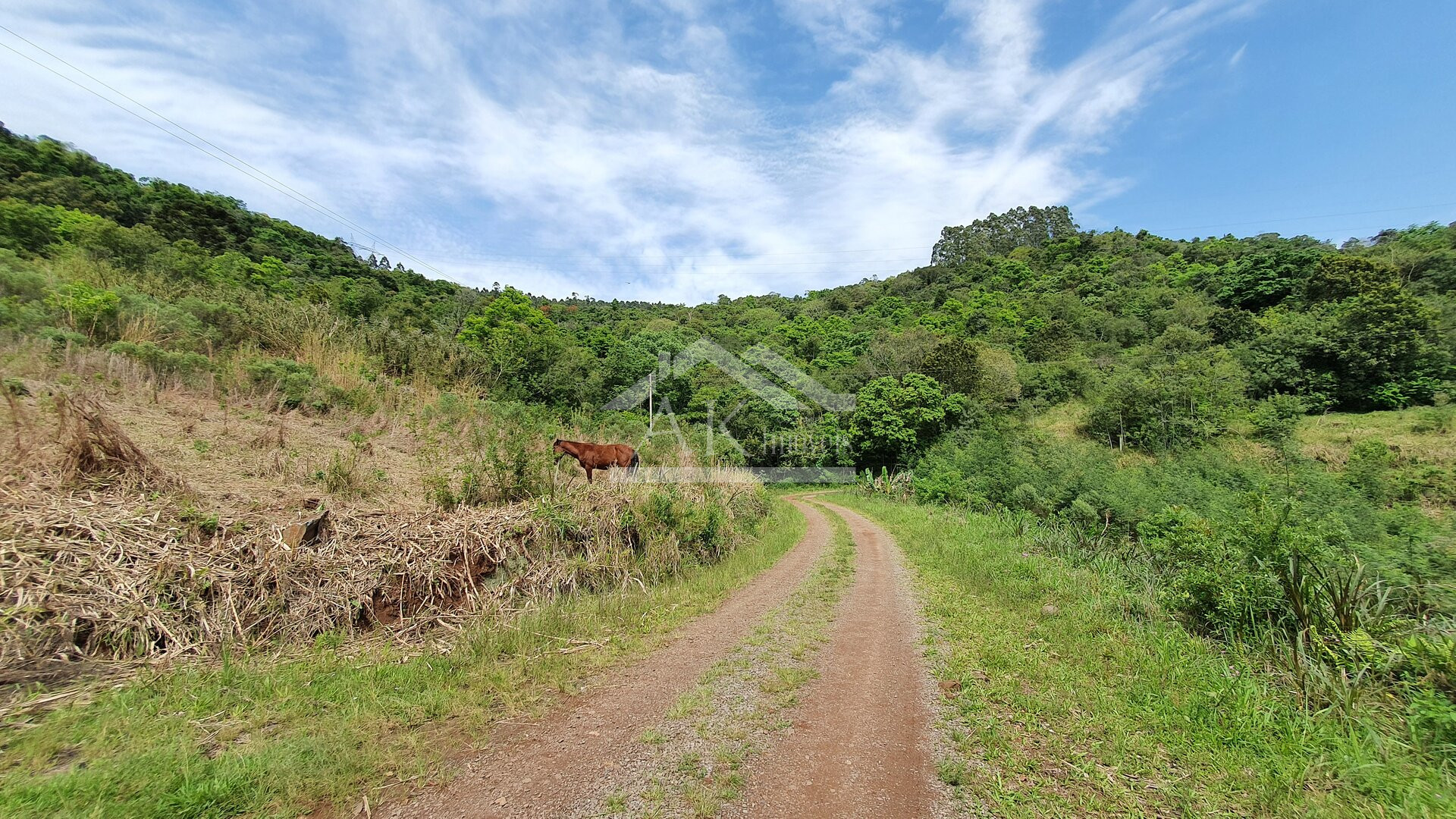 Área de terras com vertente e córrego à venda em Linha Nova na Serra Gaúcha