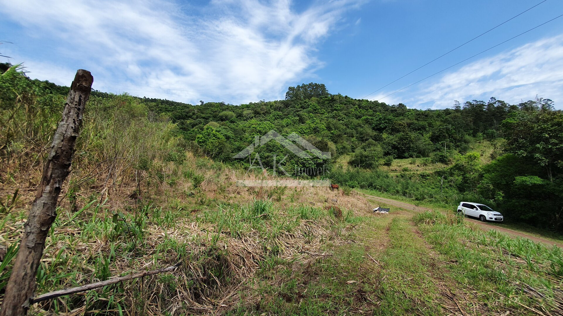Área de terras com vertente e córrego à venda em Linha Nova na Serra Gaúcha