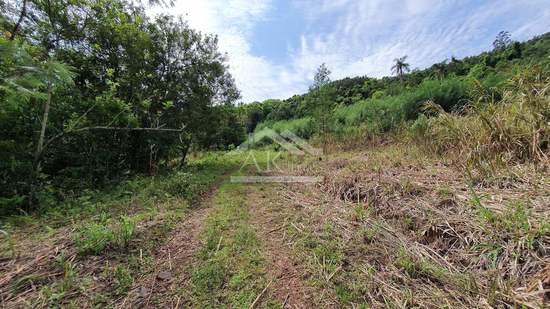 Área de terras com vertente e córrego à venda em Linha Nova na Serra Gaúcha