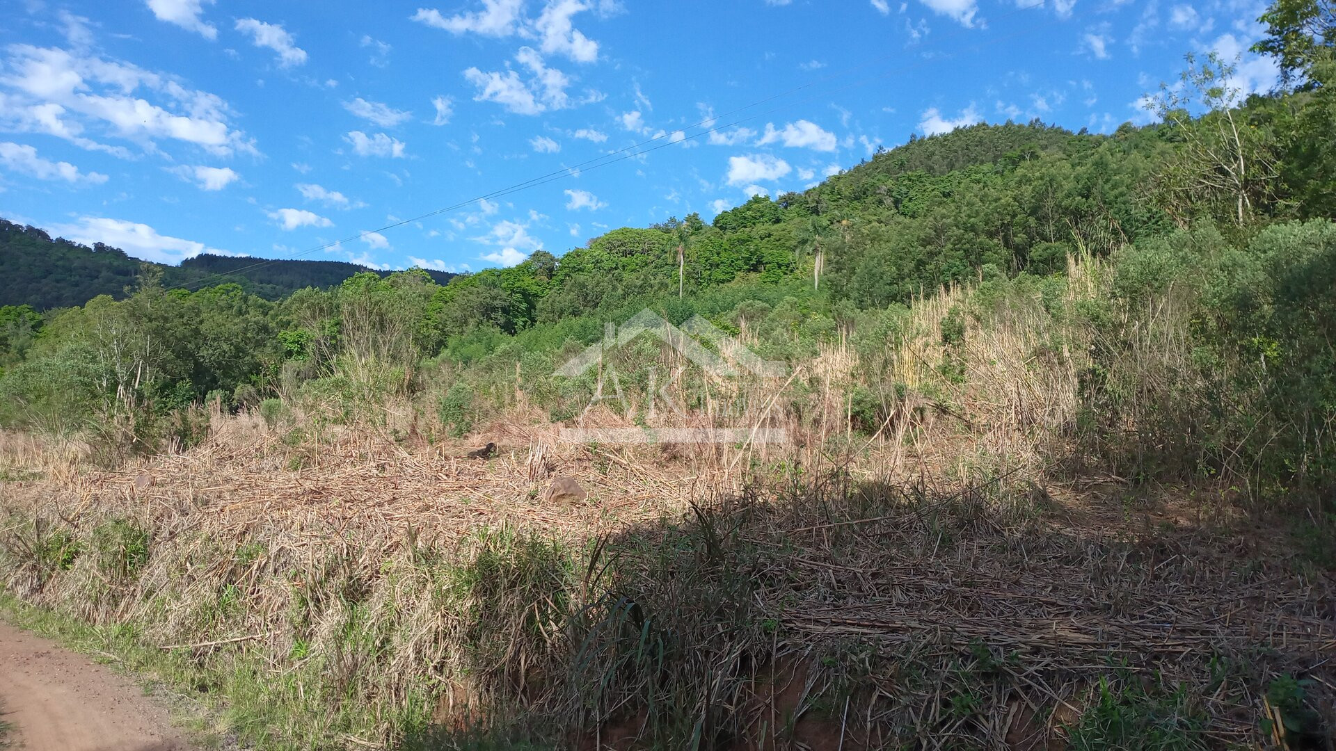 Área de terras com vertente e córrego à venda em Linha Nova na Serra Gaúcha