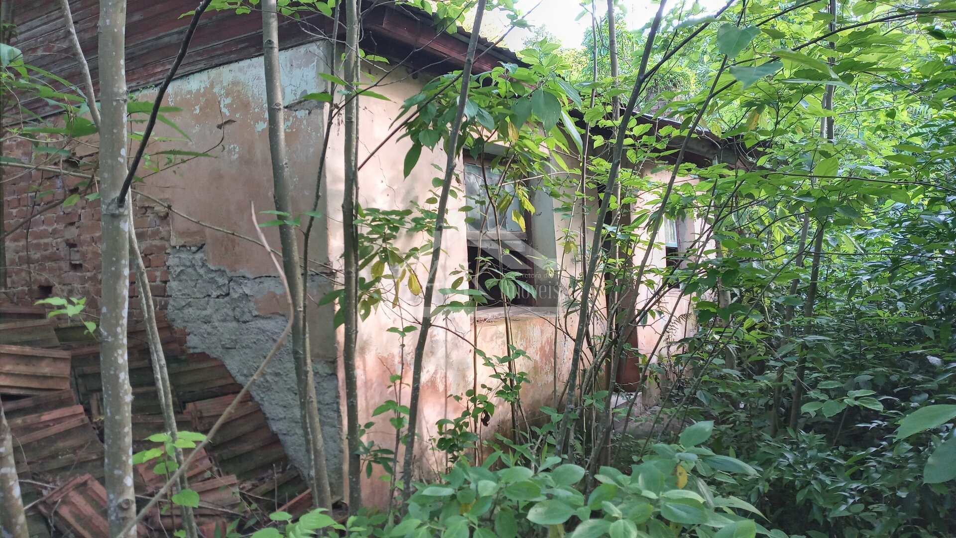 Área de terras com vertente e córrego à venda em Linha Nova na Serra Gaúcha