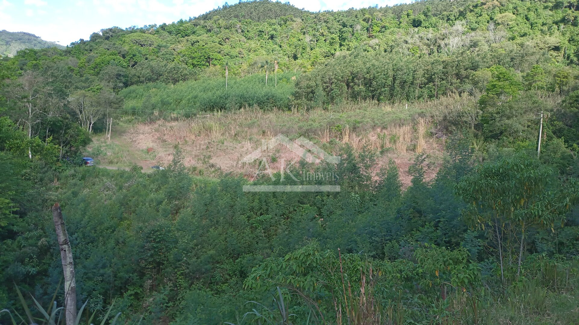 Área de terras com vertente e córrego à venda em Linha Nova na Serra Gaúcha
