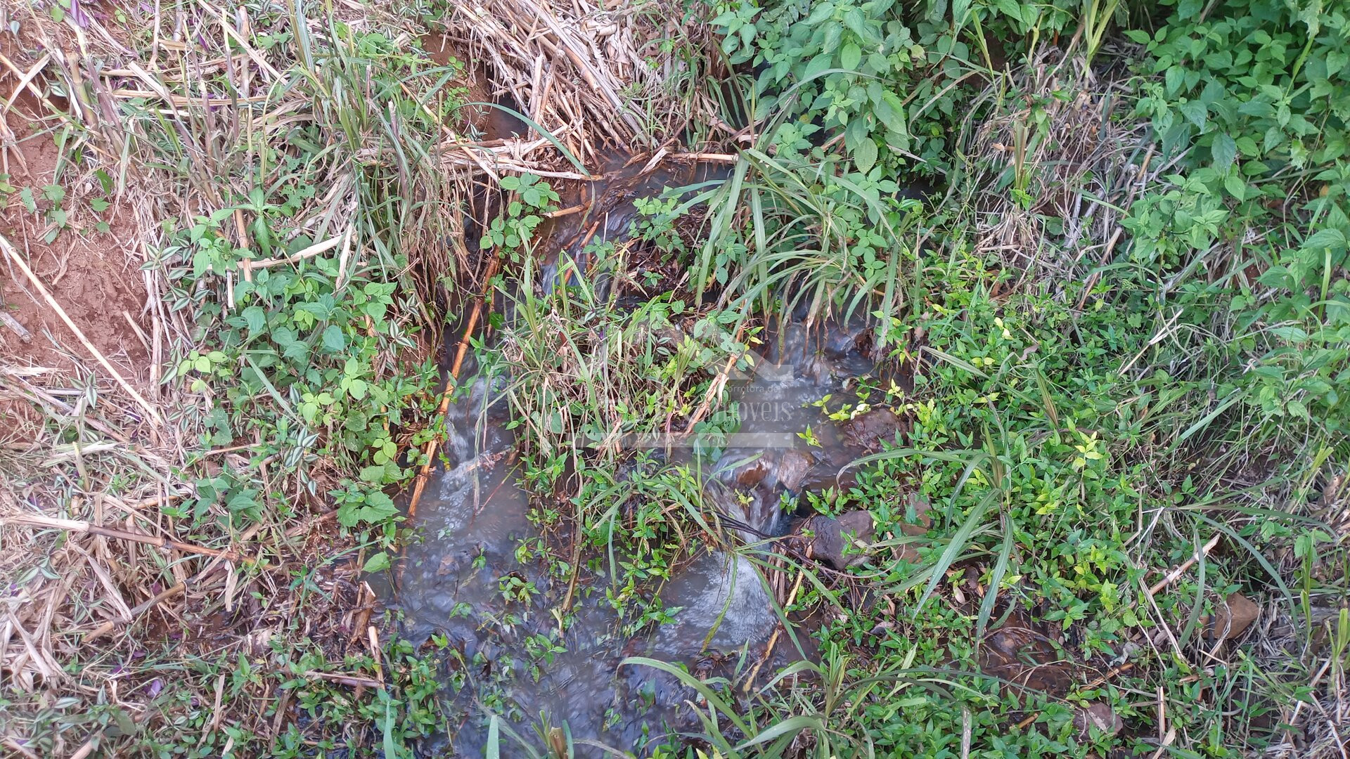 Área de terras com vertente e córrego à venda em Linha Nova na Serra Gaúcha