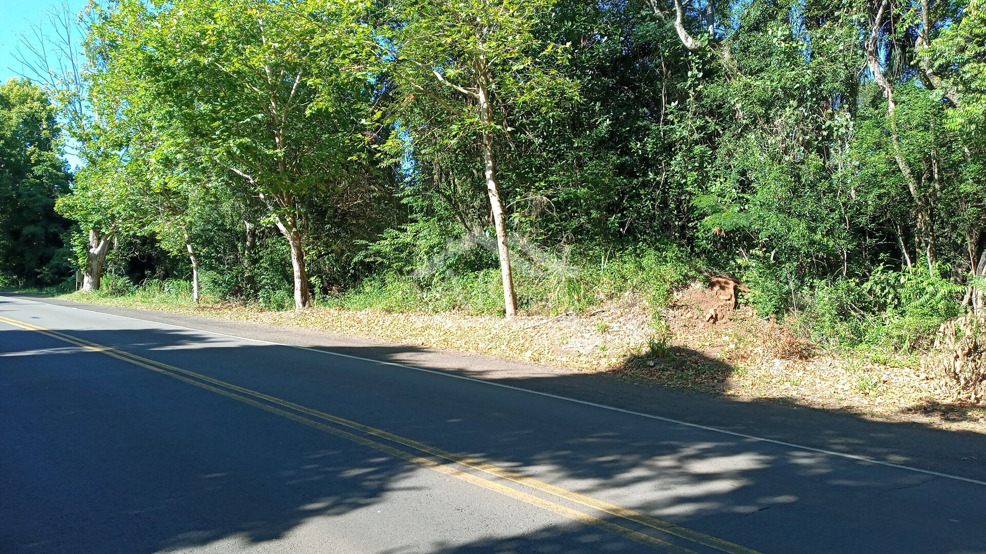 Área de terras com duas frentes para a BR 116 à venda em Picada Café na Serra Gaúcha