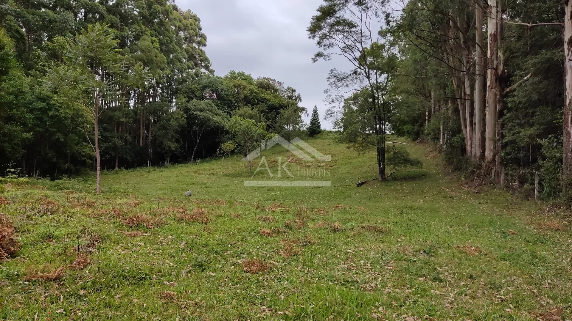 Área de terra com açude e linda vista à venda em Morro Reuter