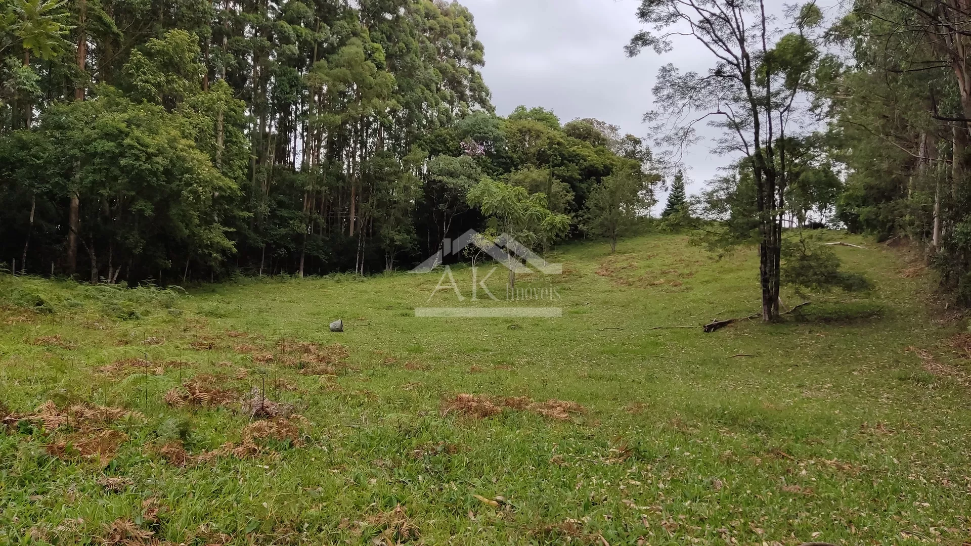 Área de terra com açude e linda vista à venda em Morro Reuter