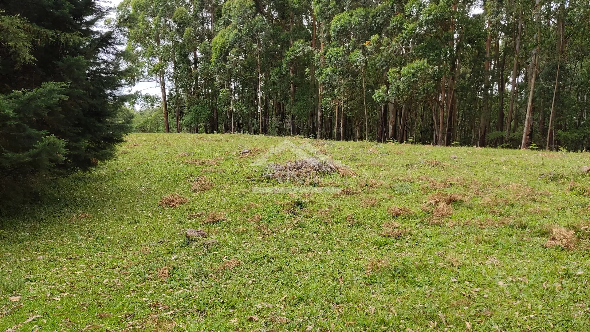Área de terra com açude e linda vista à venda em Morro Reuter