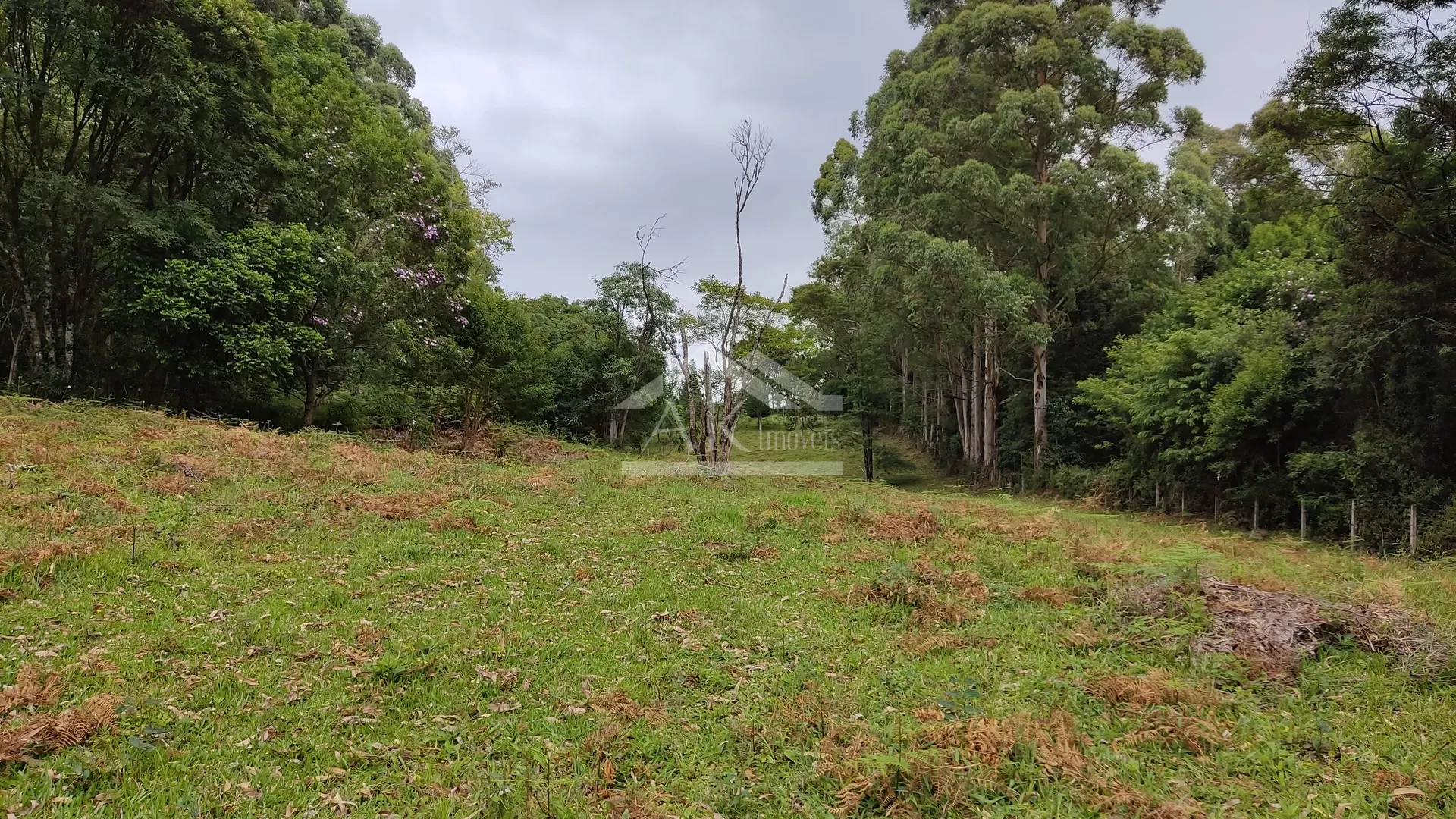 Área de terra com açude e linda vista à venda em Morro Reuter