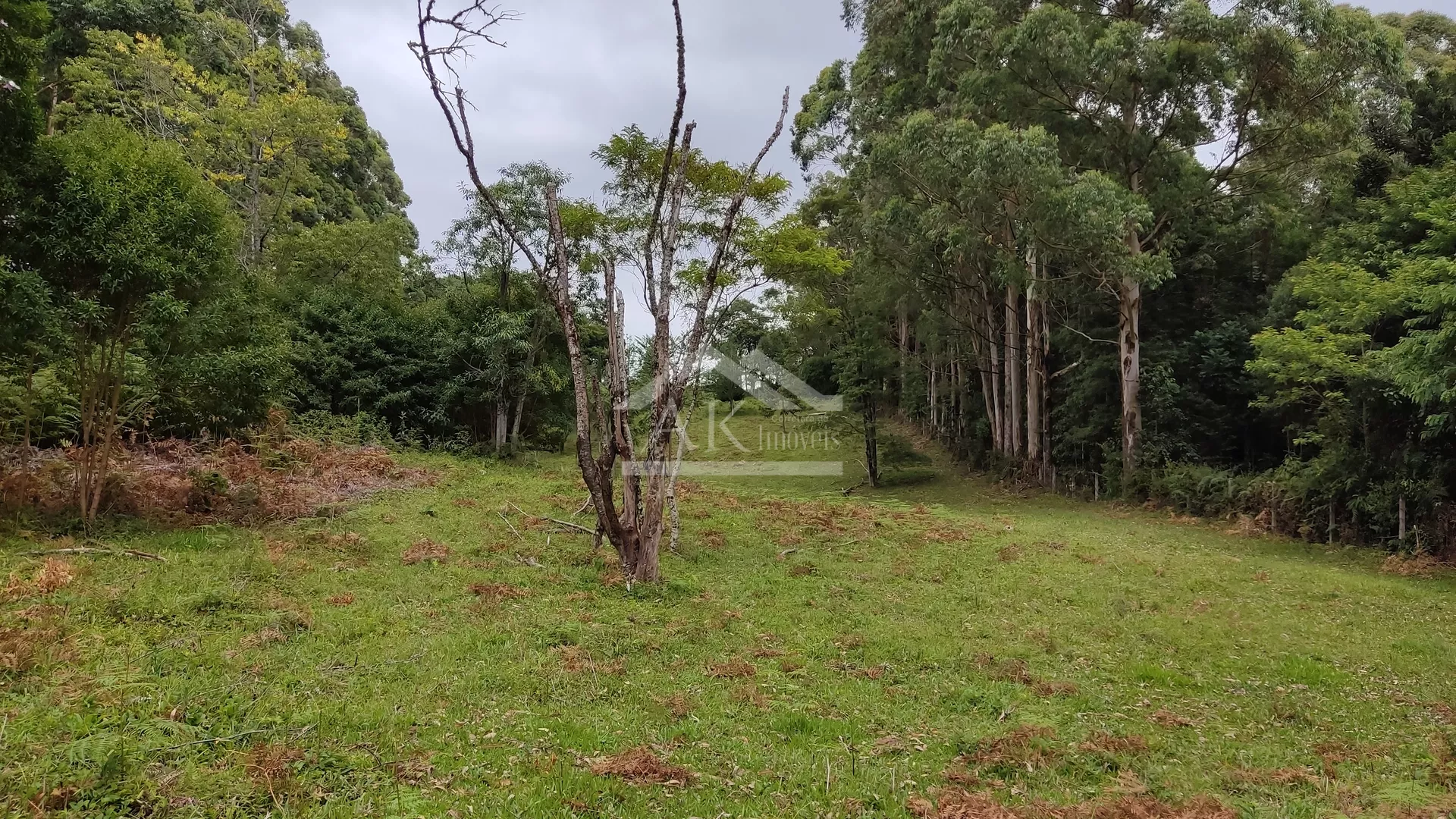 Área de terra com açude e linda vista à venda em Morro Reuter